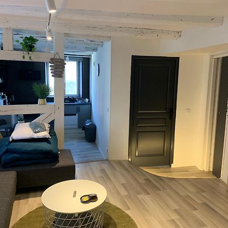A Labri Du Vent Apartment Sainte-Marie-aux-Mines Luaran gambar
